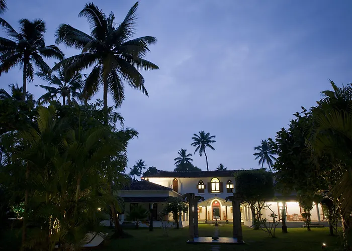 Purity At Lake Vembanad, Aleppey